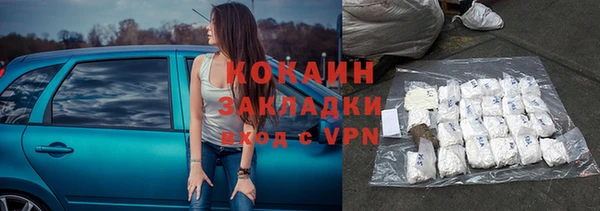 крисы Касимов
