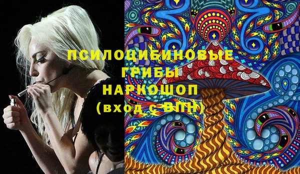 крисы Касимов