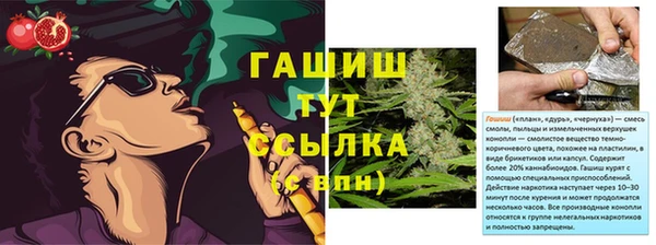 крисы Касимов
