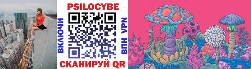 Галлюциногенные грибы Magic Shrooms  Купить  Кашин 
