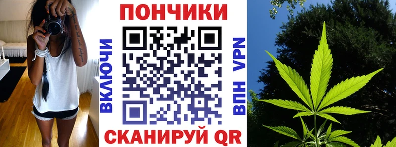 Купить  Кашин  Канабис ГИДРОПОН 